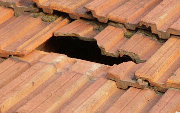roof repair Westlinton, Cumbria